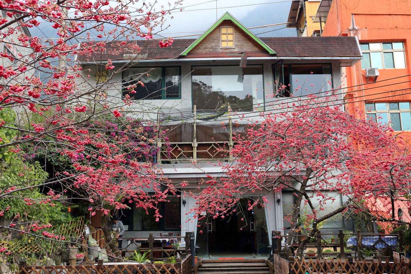 東埔溫泉住宿-觀瀑樓(櫻之泉)